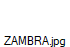 ZAMBRA.jpg