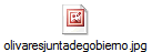 olivaresjuntadegobierno.jpg