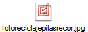 fotoreciclajepilasrecor.jpg