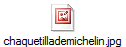 chaquetillademichelin.jpg
