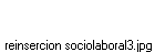 reinsercion sociolaboral3.jpg
