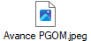 Avance PGOM.jpeg