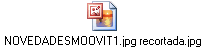 NOVEDADESMOOVIT1.jpg recortada.jpg