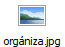 org�niza.jpg