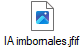 IA imbornales.jfif