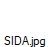 SIDA.jpg