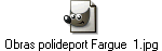Obras polideport Fargue  1.jpg