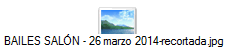 BAILES SAL�N - 26 marzo 2014-recortada.jpg