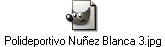 Polideportivo Nu�ez Blanca 3.jpg