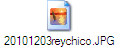 20101203reychico.JPG