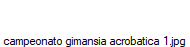campeonato gimansia acrobatica 1.jpg