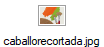 caballorecortada.jpg