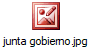 junta gobierno.jpg