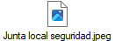 Junta local seguridad.jpeg