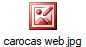 carocas web.jpg