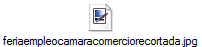 feriaempleocamaracomerciorecortada.jpg