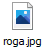 roga.jpg