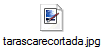tarascarecortada.jpg