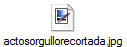 actosorgullorecortada.jpg