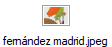 fernández madrid.jpeg