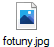 fotuny.jpg