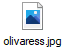 olivaress.jpg