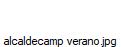 alcaldecamp verano.jpg