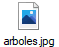 arboles.jpg