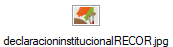 declaracioninstitucionalRECOR.jpg