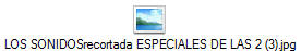 LOS SONIDOSrecortada ESPECIALES DE LAS 2 (3).jpg
