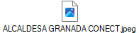 ALCALDESA GRANADA CONECT.jpeg