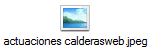 actuaciones calderasweb.jpeg