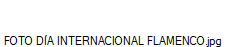 FOTO D�A INTERNACIONAL FLAMENCO.jpg