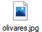 olivares.jpg