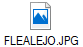 FLEALEJO.JPG