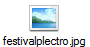 festivalplectro.jpg