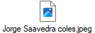 Jorge Saavedra coles.jpeg