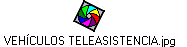 VEH�CULOS TELEASISTENCIA.jpg
