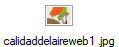 calidaddelaireweb1 .jpg