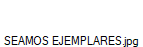 SEAMOS EJEMPLARES.jpg