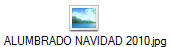 ALUMBRADO NAVIDAD 2010.jpg