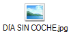 D�A SIN COCHE.jpg