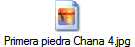 Primera piedra Chana 4.jpg
