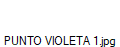 PUNTO VIOLETA 1.jpg