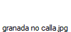 granada no calla.jpg
