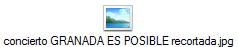 concierto GRANADA ES POSIBLE recortada.jpg