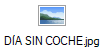 D�A SIN COCHE.jpg