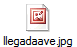 llegadaave.jpg