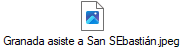 Granada asiste a San SEbastin.jpeg