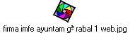 firma imfe ayuntam g� rabal 1 web.jpg